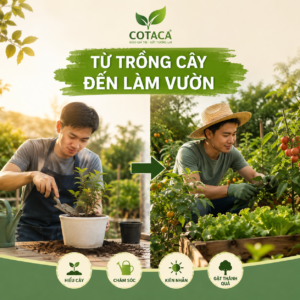 Từ người trồng cây đến người làm vườn và những kinh nghiệm chăm sóc khu vườn